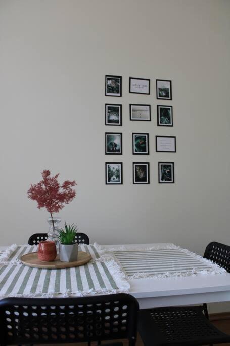 The Oasis By Downtown Apartments Targu Mures Exterior photo