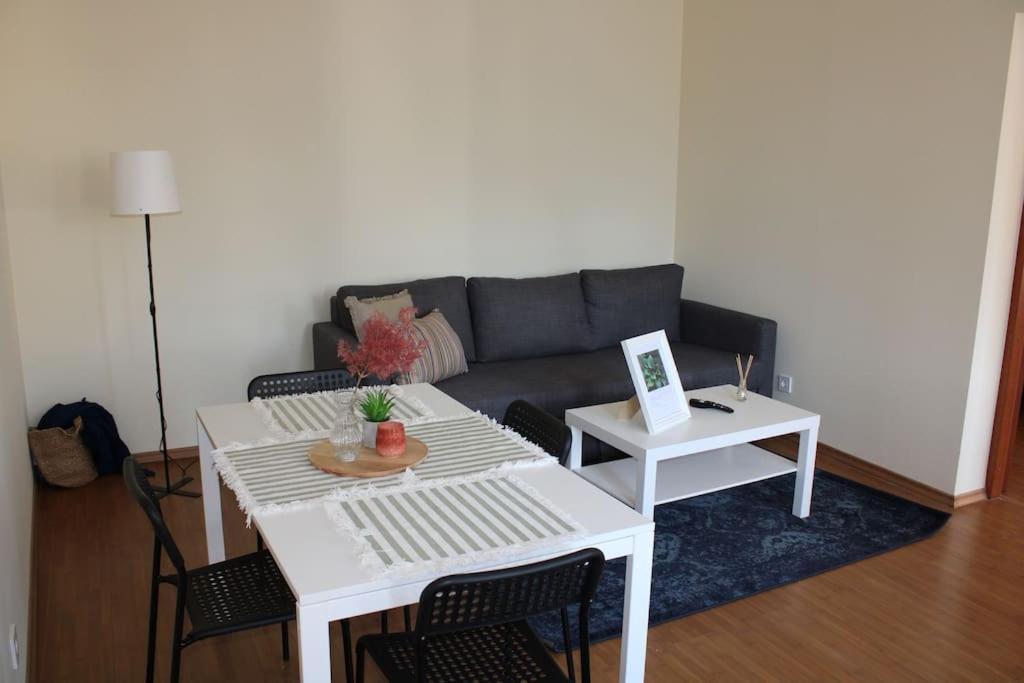 The Oasis By Downtown Apartments Targu Mures Exterior photo